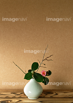 床の間 花瓶 植物 の画像素材 部屋 住宅 インテリアの写真素材ならイメージナビ
