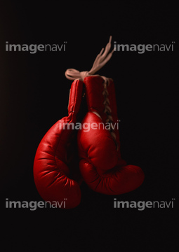 ボクシンググローブ の画像素材 スポーツ用品 オブジェクトの写真素材ならイメージナビ