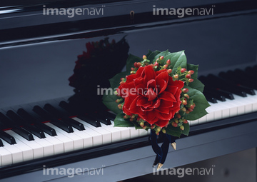 オブジェクト 楽器 ピアノ 花 写真 の画像素材 写真素材ならイメージナビ