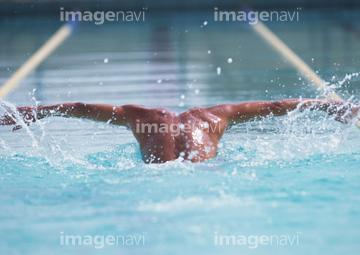 バタフライ 水泳 背中 の画像素材 ウォータースポーツ スポーツの写真素材ならイメージナビ