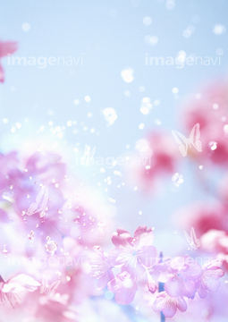 季節のイラスト 春 綺麗 イラスト の画像素材 花 植物 イラスト Cgのイラスト素材ならイメージナビ