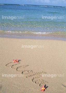 ハワイ 砂浜 プルメリア の画像素材 年賀 グリーティングの写真素材ならイメージナビ