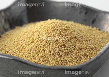 食べ物 穀物 雑穀 粟 の画像素材 写真素材ならイメージナビ