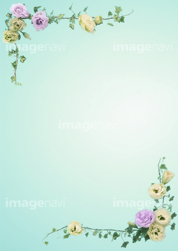 飾り罫 コーナー罫 の画像素材 花 植物 イラスト Cgの写真素材ならイメージナビ