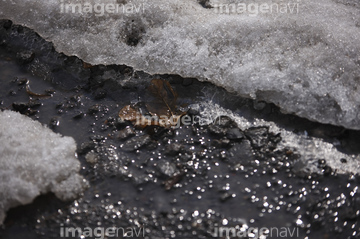 雪解け の画像素材 気象 天気 自然 風景の写真素材ならイメージナビ