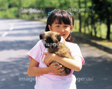 動物 子犬 抱く Mixa の画像素材 ペット 生き物の写真素材ならイメージナビ