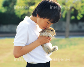 生き物 ペット ウサギ 抱く の画像素材 写真素材ならイメージナビ