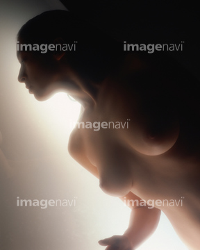 女性 胸 裸 日本人 シルエット の画像素材 写真素材ならイメージナビ