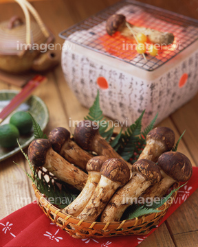 秋の食祭 秋の味覚 秋の美食 松茸 の画像素材 和食 食べ物の写真素材ならイメージナビ