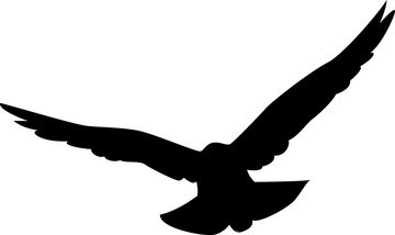 鳥 飛ぶ 飛行 野鳥 イラスト の画像素材 生き物 イラスト Cgのイラスト素材ならイメージナビ