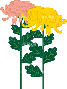 樹木 イラストデータ 冬 植木 の画像素材 樹木 花 植物のイラスト素材ならイメージナビ