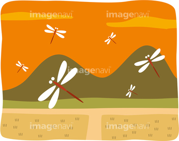 赤トンボ 夕焼け の画像素材 虫 昆虫 生き物の写真素材ならイメージナビ
