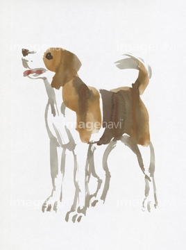 犬のイラスト特集 ビーグル イラスト の画像素材 生き物