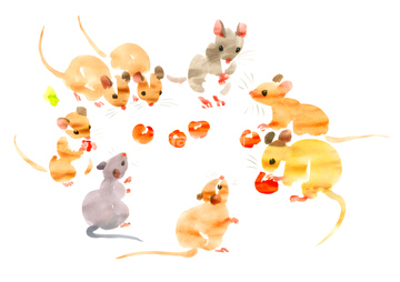 動物のイラスト ネズミ イラスト の画像素材 生き物 イラスト Cgのイラスト素材ならイメージナビ
