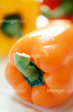 食べ物 野菜 実野菜 オレンジ色 の画像素材 写真素材ならイメージナビ