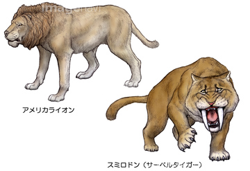 動物のイラスト ライオン イラスト の画像素材 生き物 イラスト Cgのイラスト素材ならイメージナビ