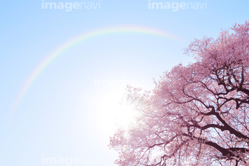 桜 空 自然 虹 の画像素材 自然 風景 イラスト Cgの写真素材ならイメージナビ