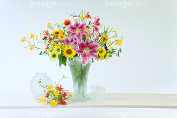 画像素材 花 植物の写真素材ならイメージナビ