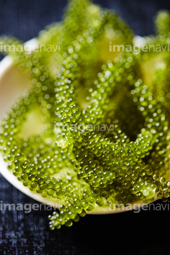 海ぶどう の画像素材 和食 食べ物の写真素材ならイメージナビ