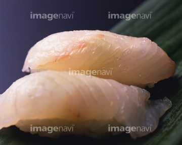 ひらめ 寿司 の画像素材 和食 食べ物の写真素材ならイメージナビ