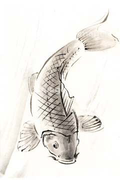 イラスト Cg 水墨画 魚 コイ コイの仲間 の画像素材 イラスト素材ならイメージナビ