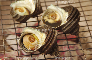 サザエのつぼ焼き の画像素材 和食 食べ物の写真素材ならイメージナビ