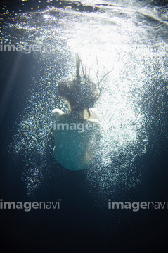 水 女性 日本人 水中 ロイヤリティフリー の画像素材 構図 人物の写真素材ならイメージナビ