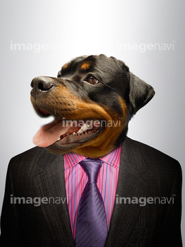 大型犬 人 スーツ の画像素材 イラスト Cgの写真素材ならイメージナビ