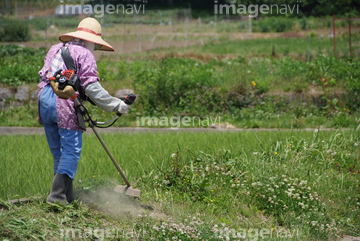 割烹着 後ろ姿 の画像素材 写真素材ならイメージナビ 割烹着 後ろ姿 の画像素材 写真素材ならイメージナビ