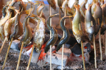 魚串焼き の画像素材 和食 食べ物の写真素材ならイメージナビ
