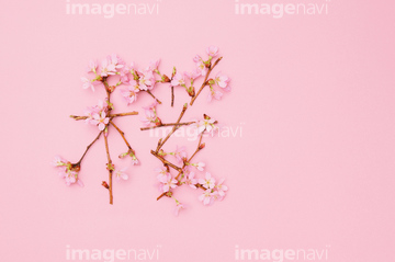 飾り文字 花 漢字 の画像素材 花 植物の写真素材ならイメージナビ