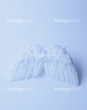 天使の羽根 の画像素材 エネルギー エコロジーの写真素材ならイメージナビ