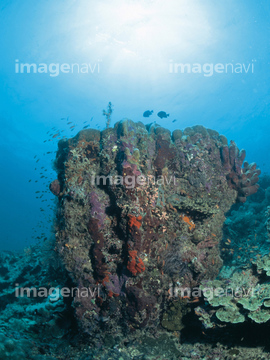 淡い 水 海底 岩場 の画像素材 海 自然 風景の写真素材ならイメージナビ