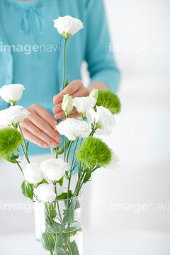 生ける の画像素材 花 植物の写真素材ならイメージナビ