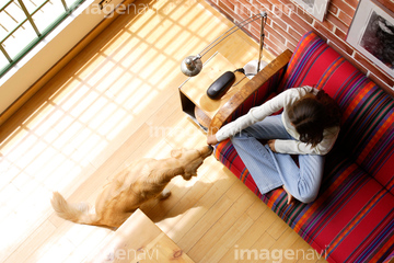 俯瞰 リビング ラテンアメリカ の画像素材 部屋 住宅 インテリアの写真素材ならイメージナビ