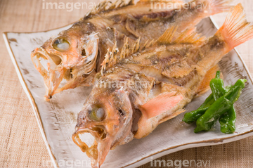 メバル の画像素材 魚介 食べ物の写真素材ならイメージナビ
