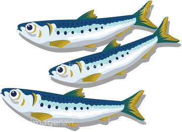魚 イラスト 青魚 ロイヤリティフリー の画像素材 生き物 イラスト Cgのイラスト素材ならイメージナビ