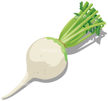 イラスト 野菜 京野菜 の画像素材 食べ物 飲み物 イラスト Cgのイラスト素材ならイメージナビ