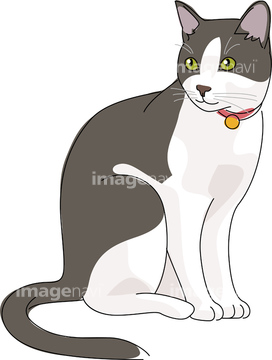 白黒猫 の画像素材 生き物 イラスト Cgの写真素材ならイメージナビ