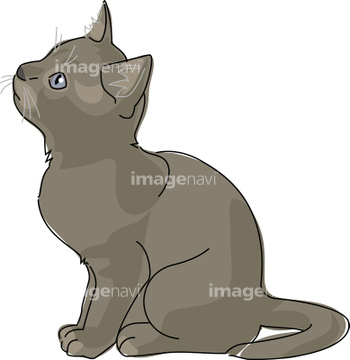 猫 イラスト かわいい ロシアンブルー の画像素材 生き物 イラスト Cgのイラスト素材ならイメージナビ