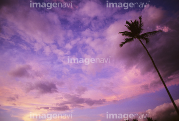 ハワイ 夕焼け空 ピンク色 Design Pics Rf の画像素材 空 自然 風景の写真素材ならイメージナビ