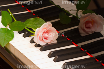 オブジェクト 楽器 ピアノ 花 写真 の画像素材 写真素材ならイメージナビ