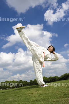 スポーツ 武道 格闘技 拳法 カンフー ポーズ の画像素材 写真素材ならイメージナビ