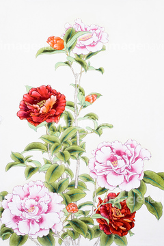 椿 イラスト 綺麗 の画像素材 花 植物 イラスト Cgのイラスト