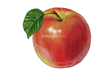 秋のイメージ総特集11 秋のイラスト 秋の果物のイラスト イラスト の画像素材 食べ物 飲み物 イラスト Cgの写真素材ならイメージナビ
