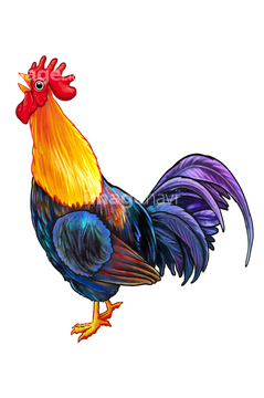 チキン イラスト かわいい 鶏肉 ふわふわ の画像素材 年賀 グリーティングのイラスト素材ならイメージナビ