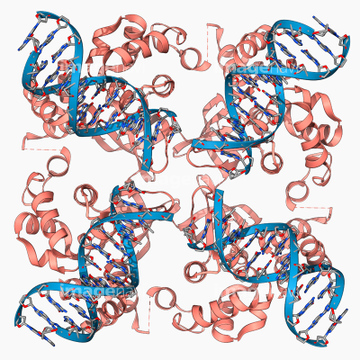Dna 十字型dna ロイヤリティフリー の画像素材 イラスト Cgの写真素材ならイメージナビ