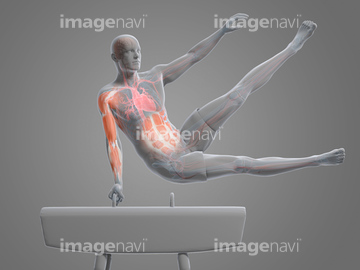 器械体操 イラスト の画像素材 ライフスタイル イラスト Cgのイラスト素材ならイメージナビ
