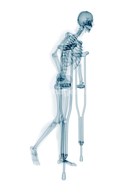 人体 イラスト 全身 骸骨 の画像素材 イラスト Cgのイラスト素材ならイメージナビ