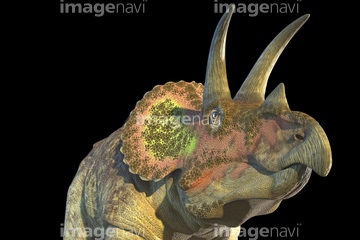 トリケラトプス の画像素材 生き物 イラスト Cgの写真素材ならイメージナビ